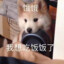 小可爱咦呀