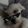 Tomek
