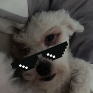 Tomek