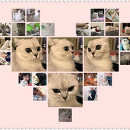 人类高质量白给