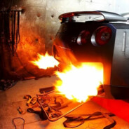 Тихий Кенгуренок