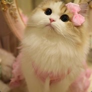 种棉花糖的兔子