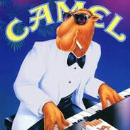 Kyks El Camel