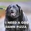I NEED A GOD DAMN PIZZA