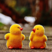 你还要我怎样荔枝？