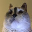 13bunkerlane ON DISCORD