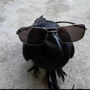 cioara greu de anvins