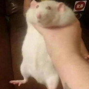 rat thrower
