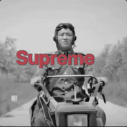 弗拉基米尔 伊里奇