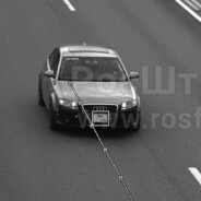 Qualitet avatar