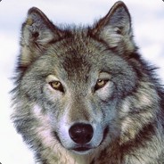 Puppy-Wolf