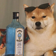 你枪这么准，是没马吗