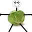 Cabbage Boy