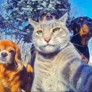 那肯定是吃饭要紧