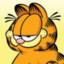 Garfield the cat (real)