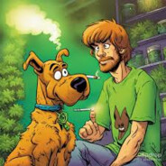 SHAGGY - steam id 76561198331820033
