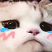 龙刃留不住落英