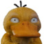 Psyduck