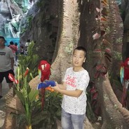 爱玩电脑的陈大神