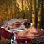 gyurcar ferencar