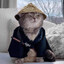Kitturai