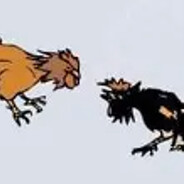 大公鸡鸡鸡鸡鸡鸡鸡鸡鸡鸡鸡鸡鸡鸡鸡鸡鸡