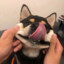 WSYHWD