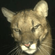 Kick PTV_RealKikousFr