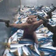 好想喝苹果醋超人