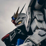 什么时候不陪跑