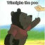 Winnigha the Pooh