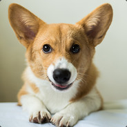 Corgi