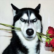 浪里划船不用桨Aquaboy