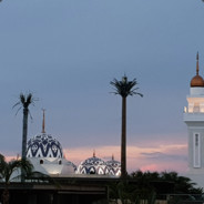 红海刘陆桥的室友