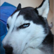 人生长恨水常东