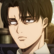 Levi