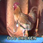 Doc Chicken