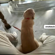 Rus - steam id 76561199741616043