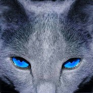 你的名字我的故事