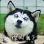 豿苏杭
