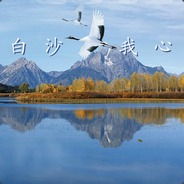 您儿的牌打的也忒好了