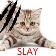 #TeamSLAYPUSS Position 1