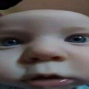 . - steam id 76561197960800495