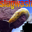 slugwash