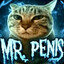 MR.Penis