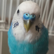 我是一名道士天天都在道观