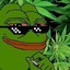 Weed csgofast.com