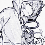 ---下等马分界线---