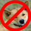 Dingo ate my baby