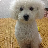 小呆呆